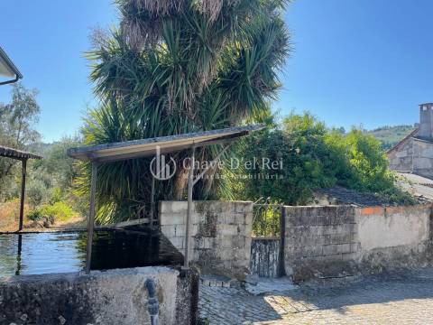Terreno Rústico  Venda em Santar e Moreira,Nelas