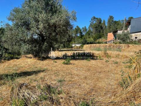 Terreno Rústico  Venda em Santar e Moreira,Nelas