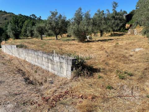 Terreno Rústico  Venda em Santar e Moreira,Nelas