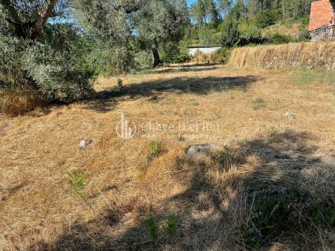 Terreno Rústico  Venda em Santar e Moreira,Nelas