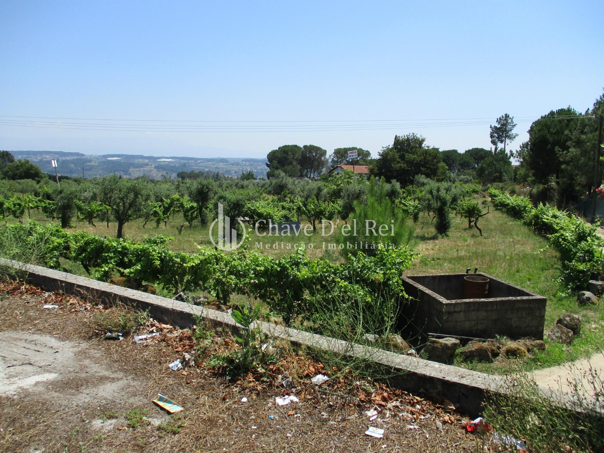 Loteamento  Venda em São João de Lourosa,Viseu