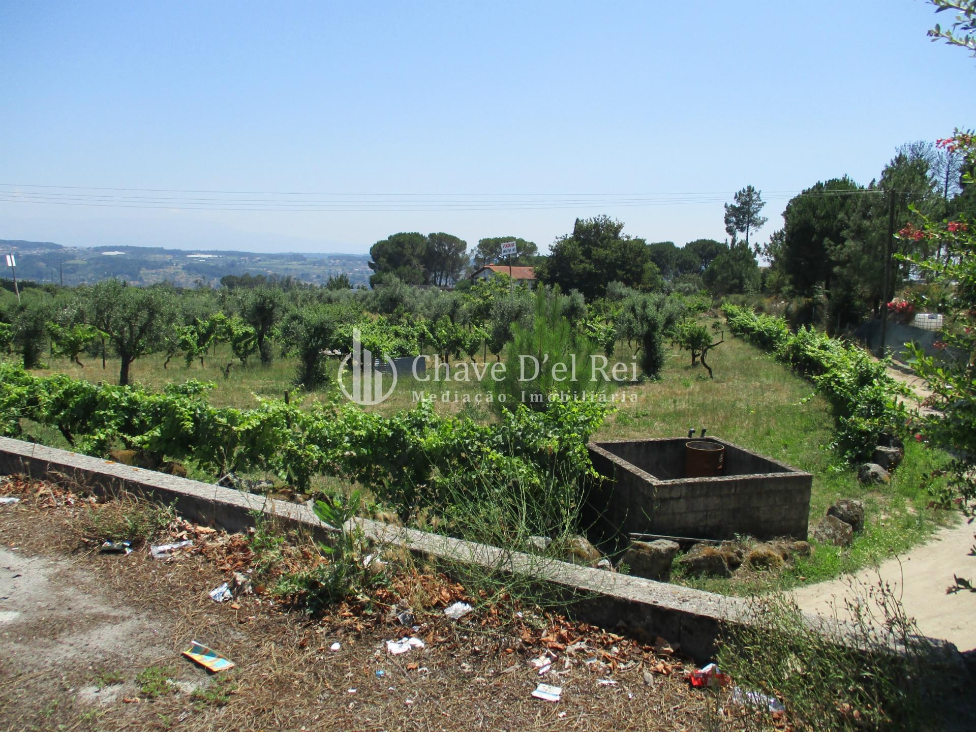 Loteamento  Venda em São João de Lourosa,Viseu