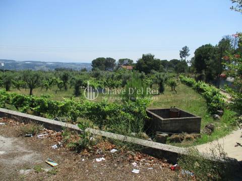 Loteamento  Venda em São João de Lourosa,Viseu