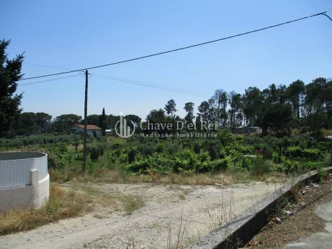 Loteamento  Venda em São João de Lourosa,Viseu