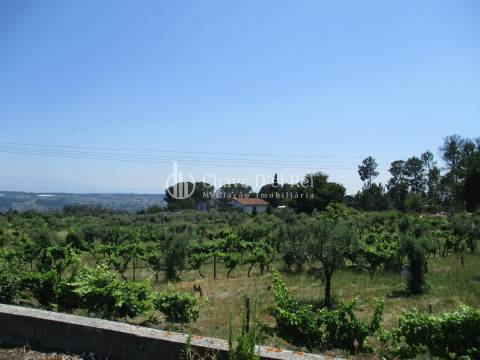 Loteamento  Venda em São João de Lourosa,Viseu
