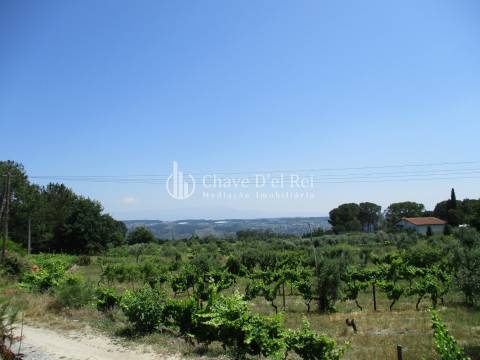 Loteamento  Venda em São João de Lourosa,Viseu