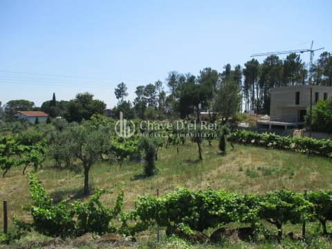 Loteamento  Venda em São João de Lourosa,Viseu