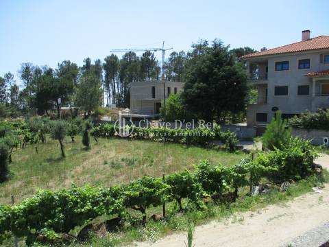 Loteamento  Venda em São João de Lourosa,Viseu