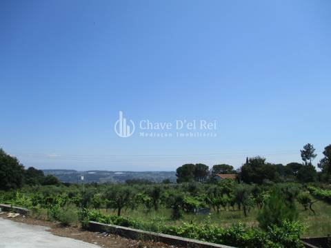 Loteamento  Venda em São João de Lourosa,Viseu