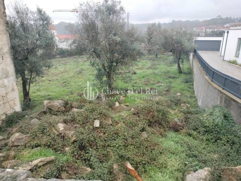 Terreno Para Construção  Venda em Rio de Loba,Viseu
