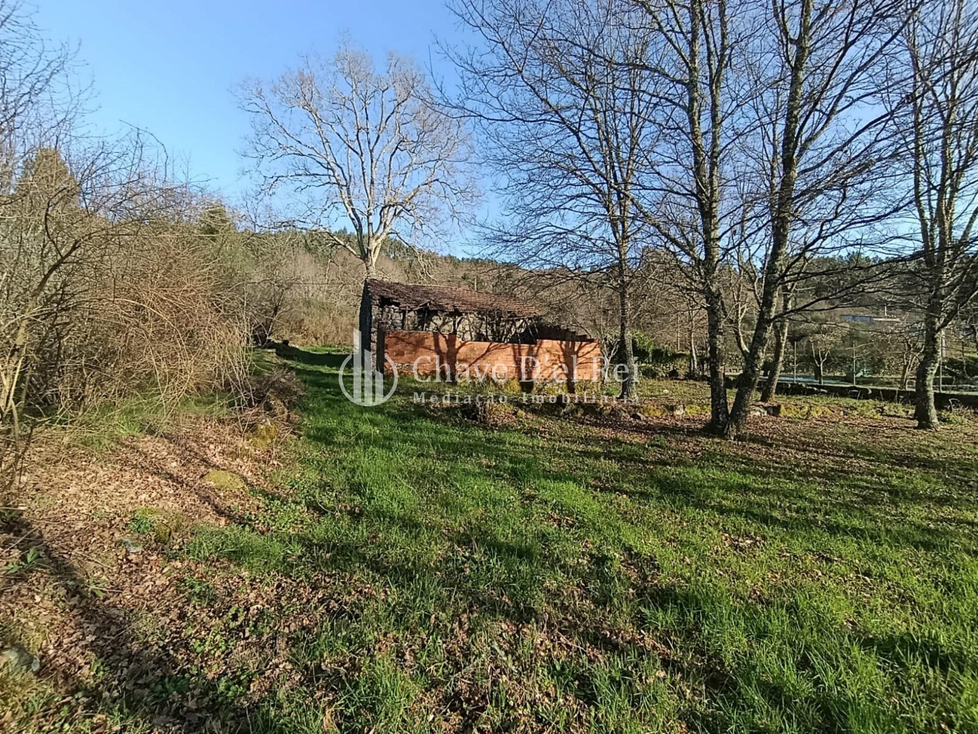 Terreno  Venda em Couto de Baixo e Couto de Cima,Viseu