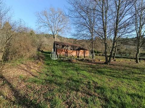 Terreno  Venda em Couto de Baixo e Couto de Cima,Viseu