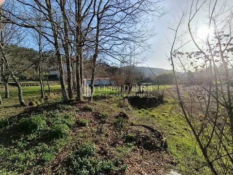 Terreno  Venda em Couto de Baixo e Couto de Cima,Viseu