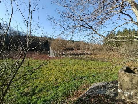 Terreno  Venda em Couto de Baixo e Couto de Cima,Viseu