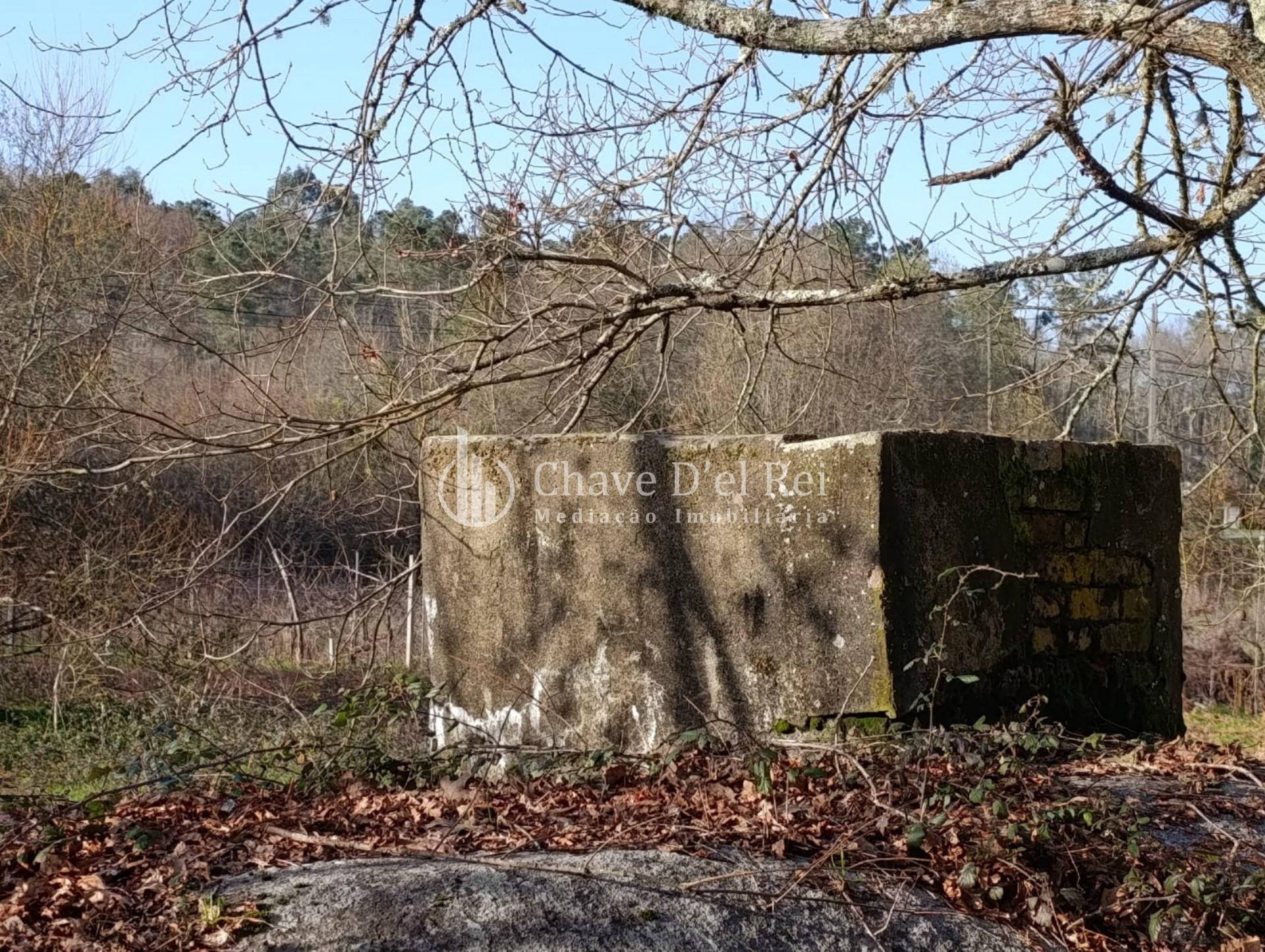 Terreno  Venda em Couto de Baixo e Couto de Cima,Viseu