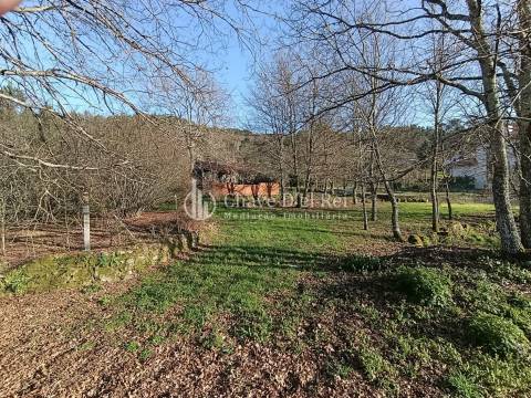 Terreno  Venda em Couto de Baixo e Couto de Cima,Viseu