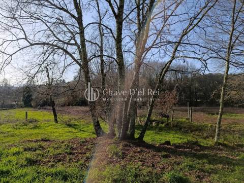Terreno  Venda em Couto de Baixo e Couto de Cima,Viseu