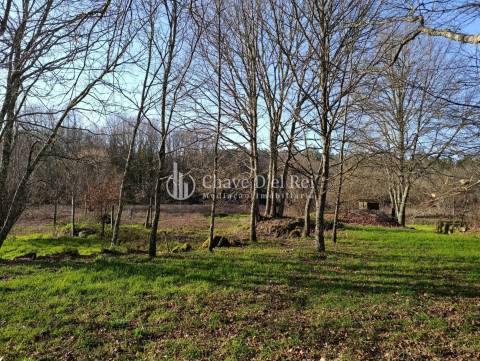 Terreno  Venda em Couto de Baixo e Couto de Cima,Viseu