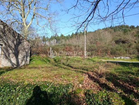 Terreno  Venda em Couto de Baixo e Couto de Cima,Viseu