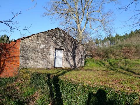 Terreno  Venda em Couto de Baixo e Couto de Cima,Viseu