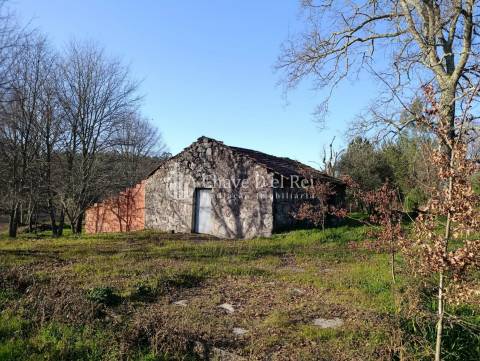 Terreno  Venda em Couto de Baixo e Couto de Cima,Viseu