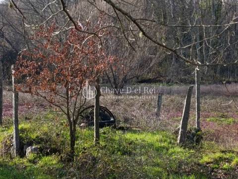 Terreno  Venda em Couto de Baixo e Couto de Cima,Viseu