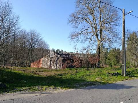 Terreno  Venda em Couto de Baixo e Couto de Cima,Viseu