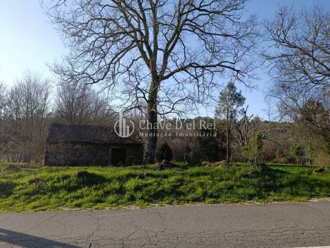 Terreno  Venda em Couto de Baixo e Couto de Cima,Viseu