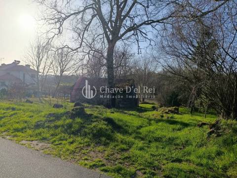 Terreno  Venda em Couto de Baixo e Couto de Cima,Viseu