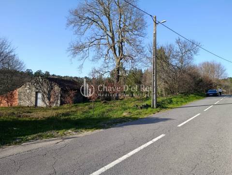 Terreno  Venda em Couto de Baixo e Couto de Cima,Viseu