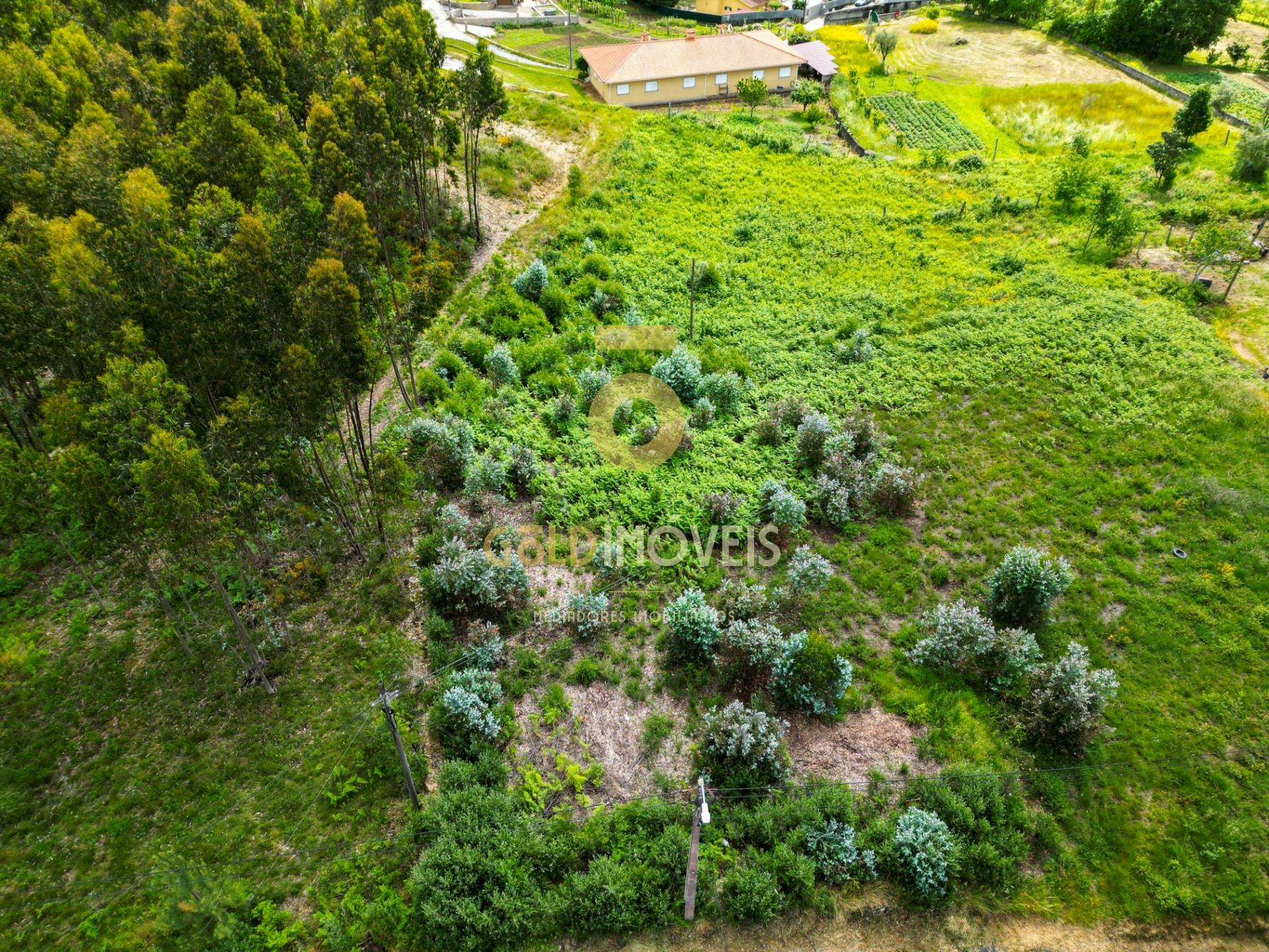 Terreno Para Construção  Venda em Santa Maria de Sardoura,Castelo de Paiva