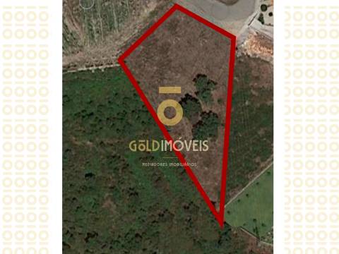 Lote de Terreno para Construção, Bairros, Castelo de Paiva