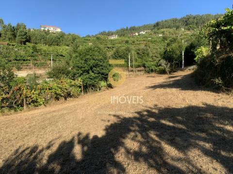 Terreno em Travanca - Cinfães