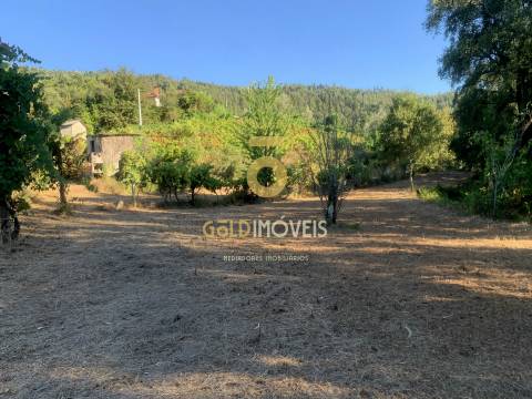 Terreno em Travanca - Cinfães