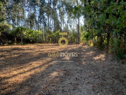 Terreno em Travanca - Cinfães