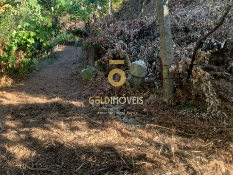 Terreno em Travanca - Cinfães