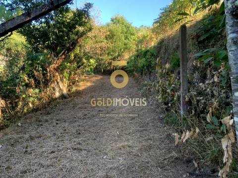 Terreno em Travanca - Cinfães