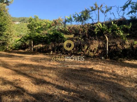 Terreno em Travanca - Cinfães