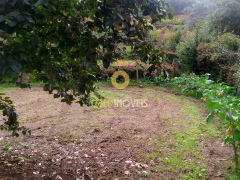 Moradia T2 para restaurar em Sá, Santa Maria de Sardoura,  Castelo de Paiva