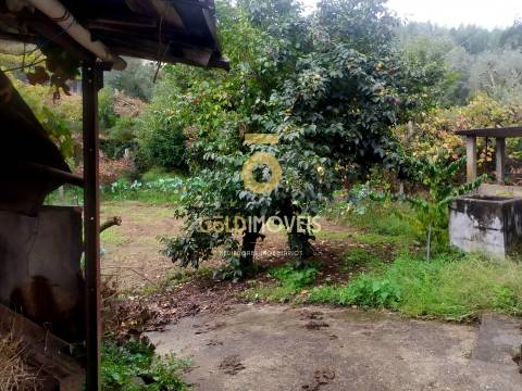 Moradia T2 para restaurar em Sá, Santa Maria de Sardoura,  Castelo de Paiva