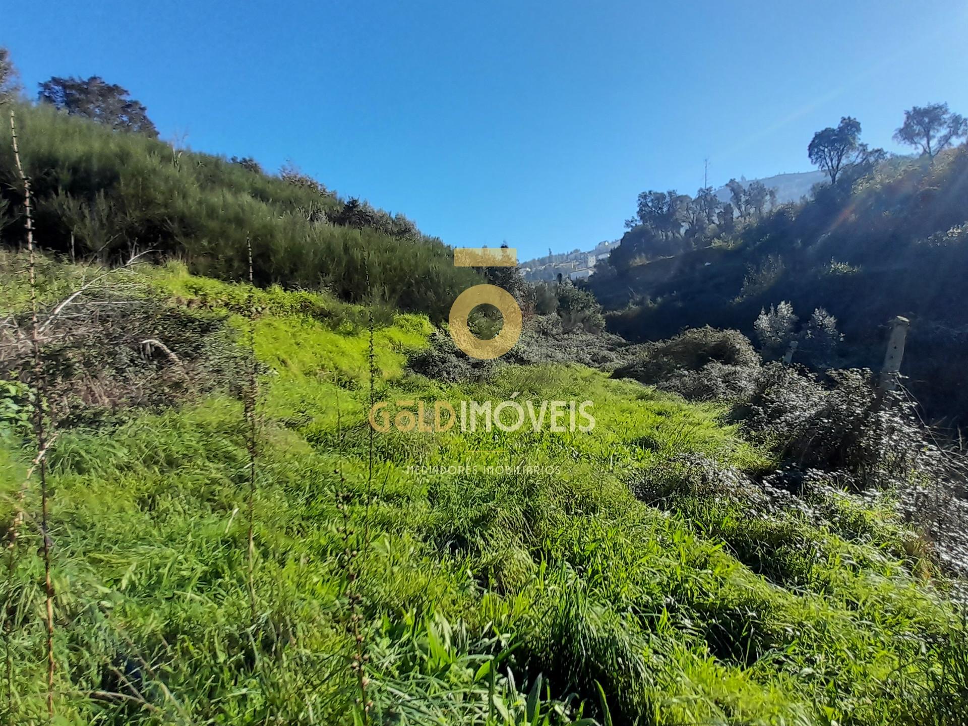 Moradia para recuperação