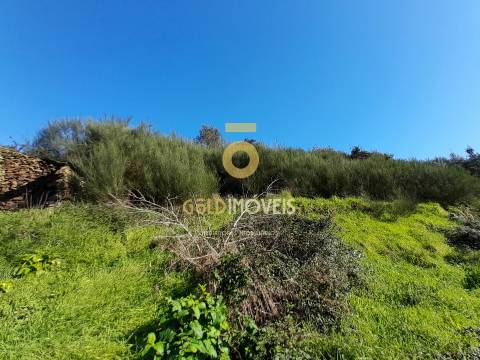 Moradia para recuperação