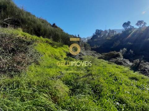 Moradia para recuperação