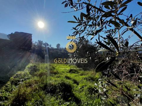 Moradia para recuperação