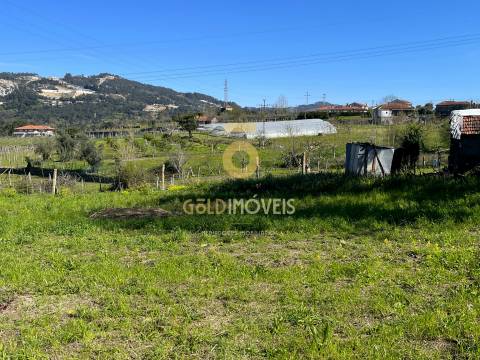 Terreno Rústico