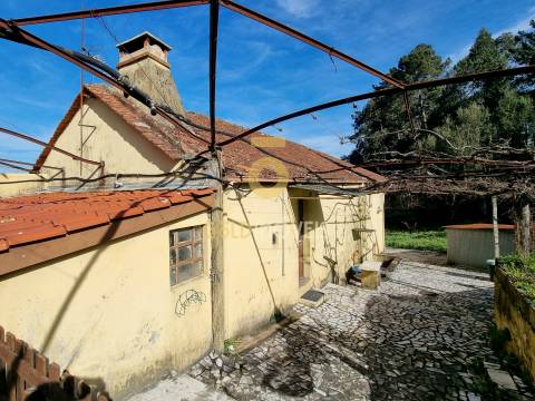 Moradia Isolada T5 Venda em Milheirós de Poiares,Santa Maria da Feira