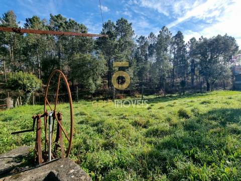 Moradia Isolada T5 Venda em Milheirós de Poiares,Santa Maria da Feira