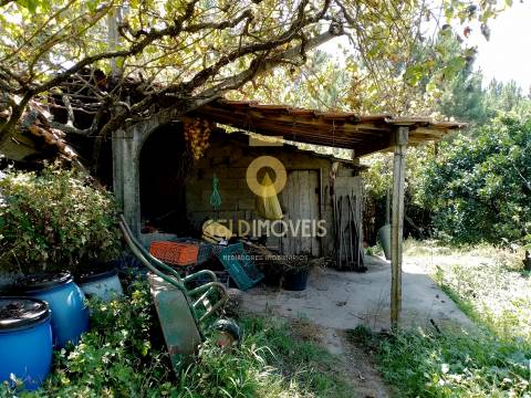 Terreno para Construção