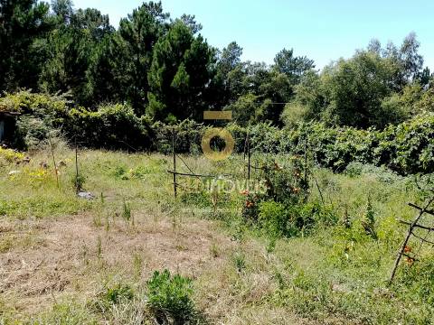 Terreno para Construção