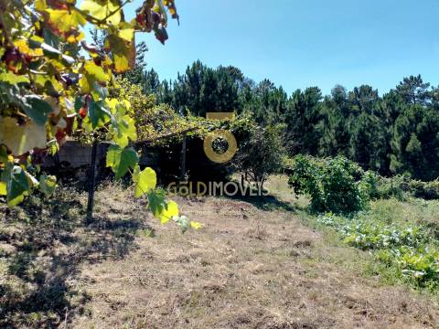 Terreno para Construção